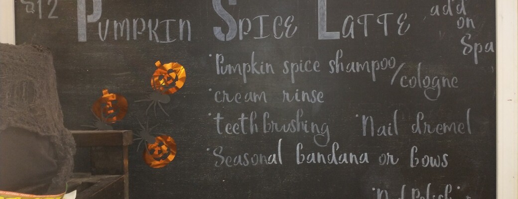 Pumpkin Spice Latte Special